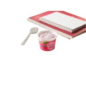 Trix Low Fat Raspberry Rainbow Yogurt | Styled