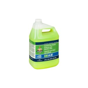 All Purpose Floor Cleaner | Raw Item