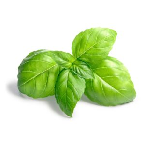 Fresh Basil | Styled
