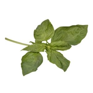 Fresh Basil | Raw Item
