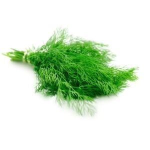 1-1/2# Fresh Dill | Raw Item