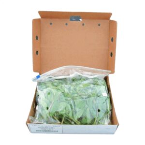 Mint Leaves | Packaged