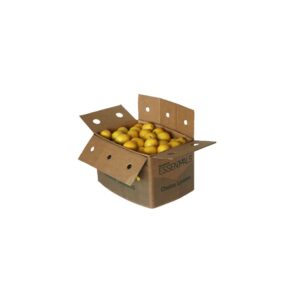 Choice California Lemons | Corrugated Box