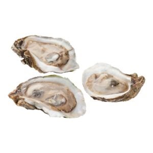 Half Shell Oysters | Raw Item