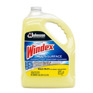 CLEANER & DISINFCT M/S 4-1GAL WNDX | Packaged