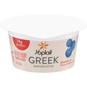 Blueberry Greek Yogurt | Packaged