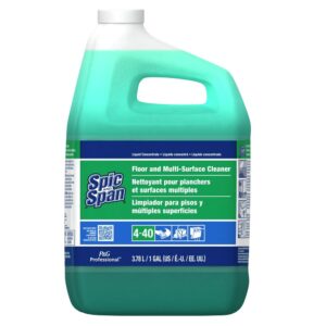 Spic & Span Floor Cleaner | Packaged