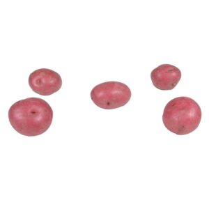 1-10# RED POTATOES “B” SZ | Raw Item