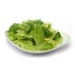 Iceberg & Romaine Lettuce Blend | Styled