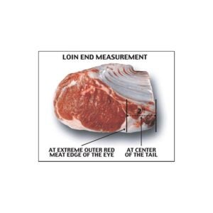 Beef Rib Roast, CHC | Raw Item