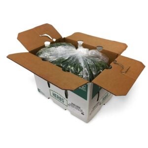 PARSLEY BUNCHED 30 CT RSS | Packaged