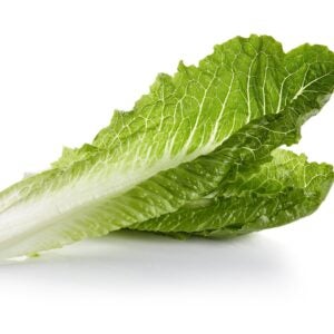 California Romaine Lettuce | Raw Item