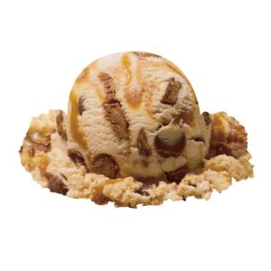 1-3GAL ICE CREAM CARAMEL CARIBOU | Raw Item