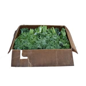 Kale | Packaged