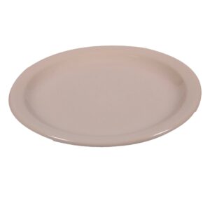 PLATE 9.25″ NR AMER WHT 24CT GFS | Raw Item