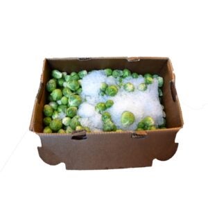 SPROUTS BRUSSEL | Packaged