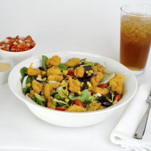 CHIX BITE BRD MINI 2-5# TYSON | Styled