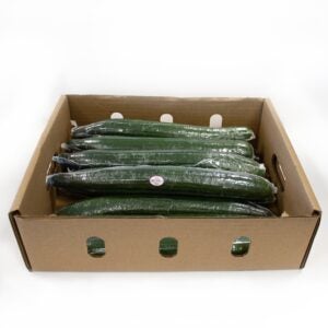 Seedless Cucumbers | Packaged