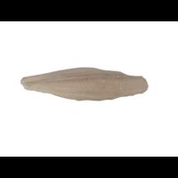 5-7 oz. Swai Fillets | Raw Item