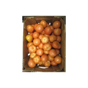 6×7 Medium Tomato | IPG