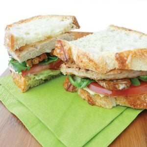 Chicken Breast Vegan Gardein 50-3.8 | PNB