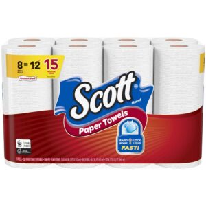 Mega Roll Paper Towels | PKG