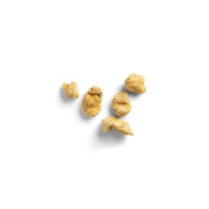 CHIX GIZZARD FRTTR BRD 2-5# TYSON | RAW