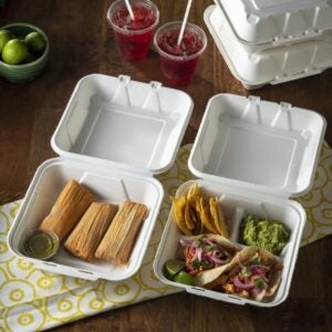 CONT MOLDED FBR 9X9X3″ WHT HNGD 150CT | PWB