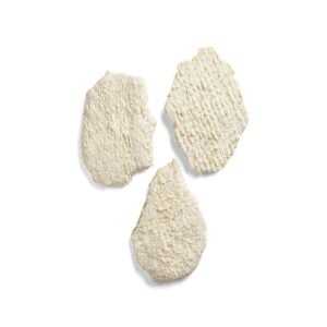 PORK LN FRTTR RAW WHL MSCL 20-8.25Z | RAW