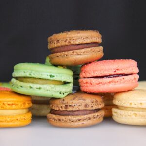 SHELL CANNOLI LRG 8-6CT SIENNA | PWB