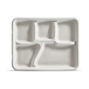 Fiber School Trays, 5 Compartment | RAW
