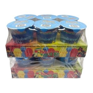 Blueberyy Italian Ice | COR