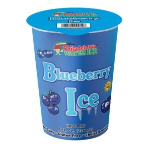 Blueberyy Italian Ice | IPG