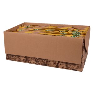 Sour Cream Onion Potato Chips | PKG