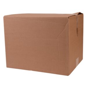 20 oz. Clear Plastic Cold Cups | COR