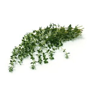 Thyme | RAW