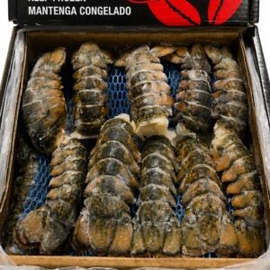 North Atlantic Lobster Tails | PKG