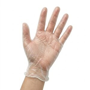 Medium Vinyl Gloves | PNB