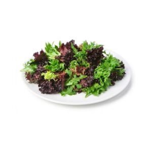 Heritage Lettuce Blend | PNB