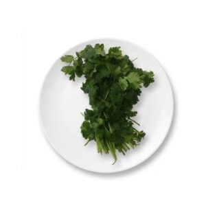 Cilantro | PNB