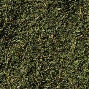 Dill Weed | RAW