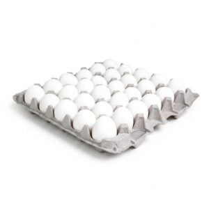 Fresh Large Eggs | IPG