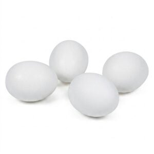 Fresh Large Eggs | RAW