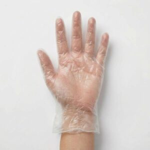 Large Vinyl Gloves | PNB