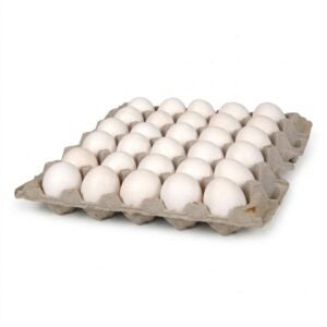 Extra-Large Grade A Eggs | IPG