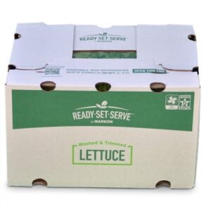 Green Leaf Lettuce | COR