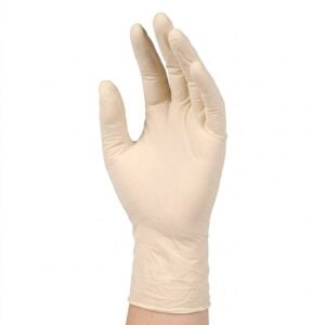 Large Latex Gloves | PNB