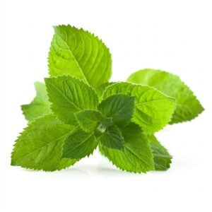 Mint Leaves | RAW