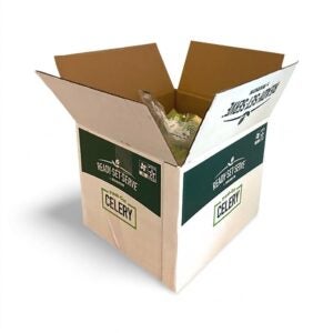 Celery Sticks | PKG