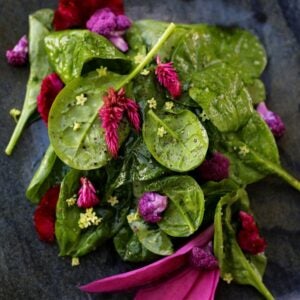 Baby Spinach | PWB